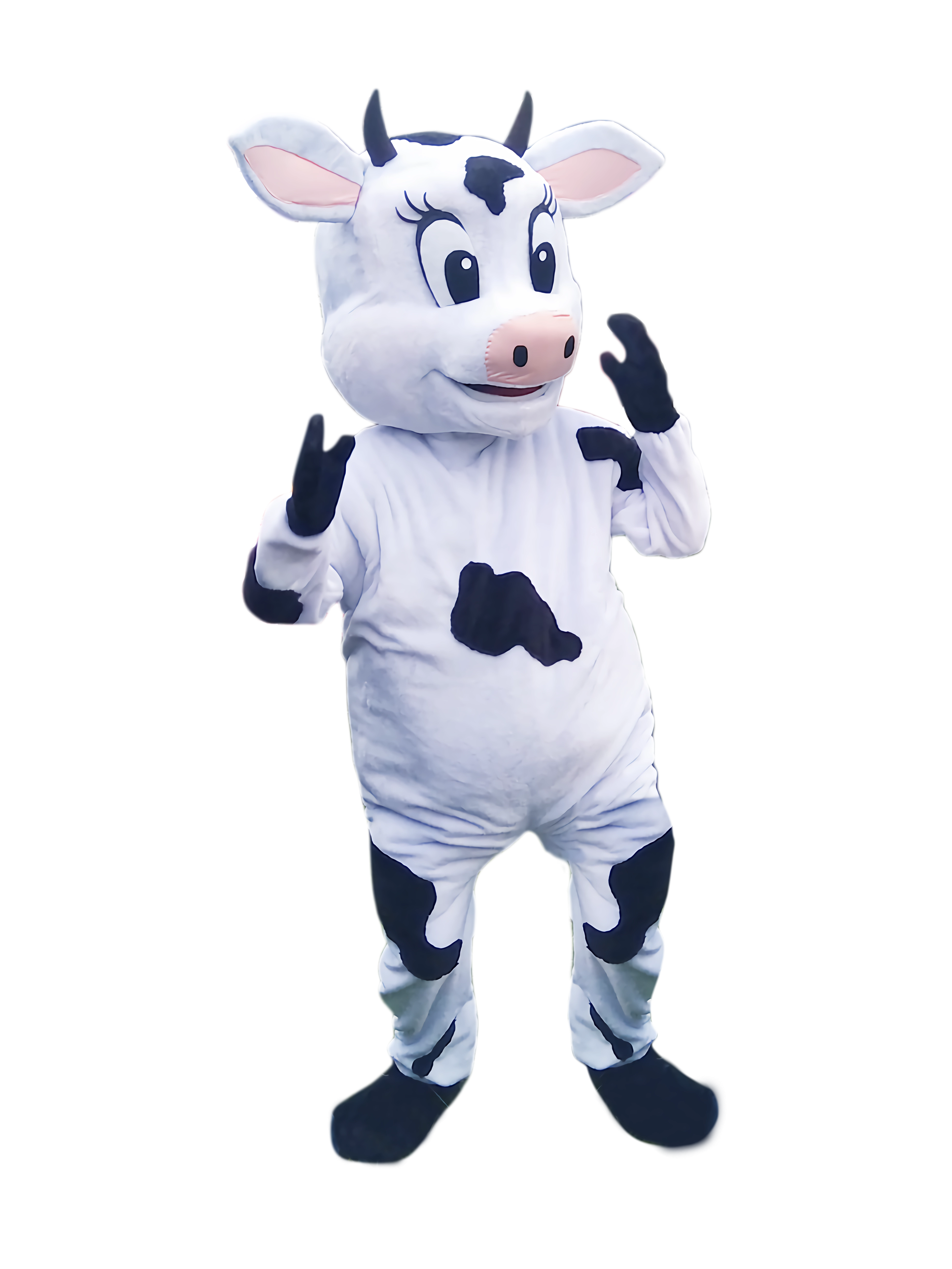 Vaca-lola-40% min